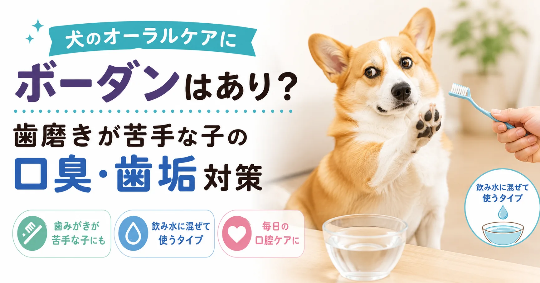 犬のオーラルケアにボーダンを使う方法を解説する記事のアイキャッチ画像