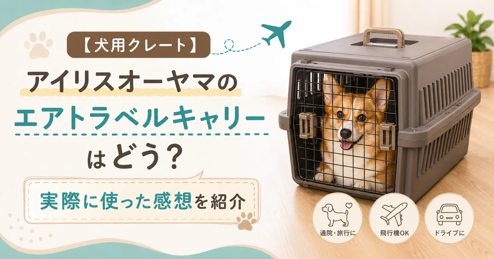 アイリスオーヤマ犬用クレートのエアトラベルキャリーの紹介に関する記事のアイキャッチ画像