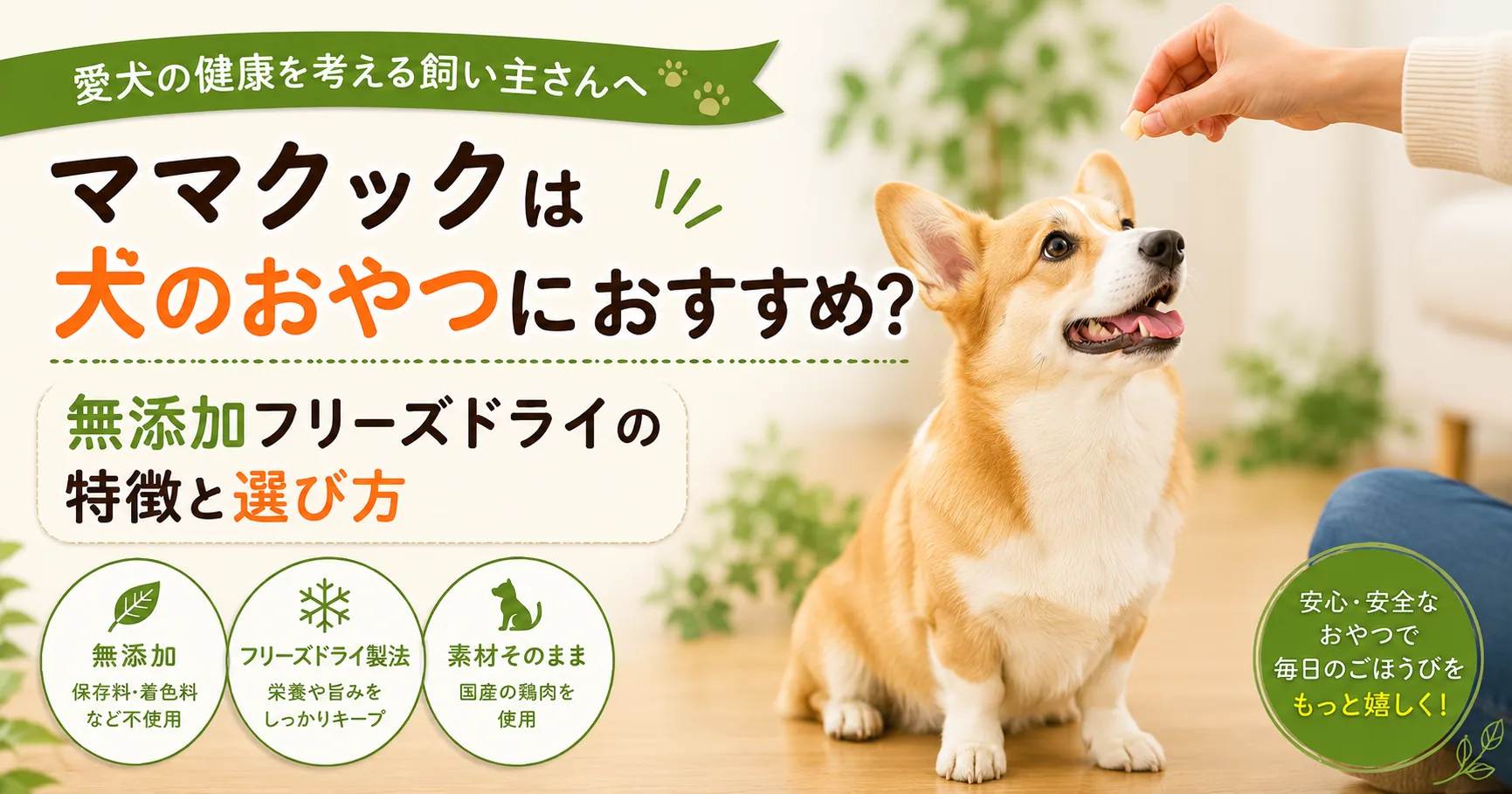 ママクックの犬用フリーズドライおやつの特徴に関する記事のアイキャッチ画像